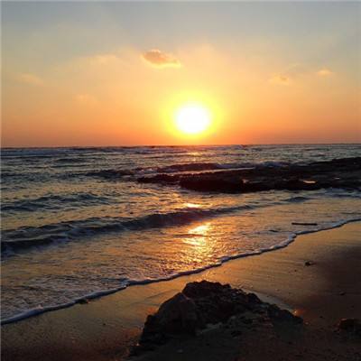 博鱼(boyu)·体育