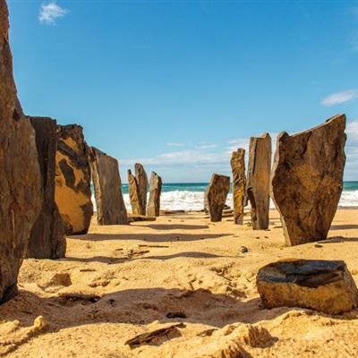 加拿大pc软件平台下载手机版