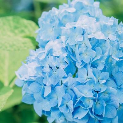 bat365手机app下载