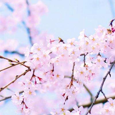 三亿体育手机app下载